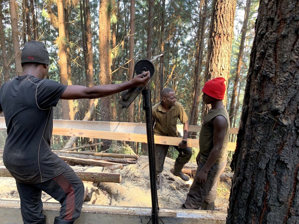 Uganda’s Timber Industry Revisited