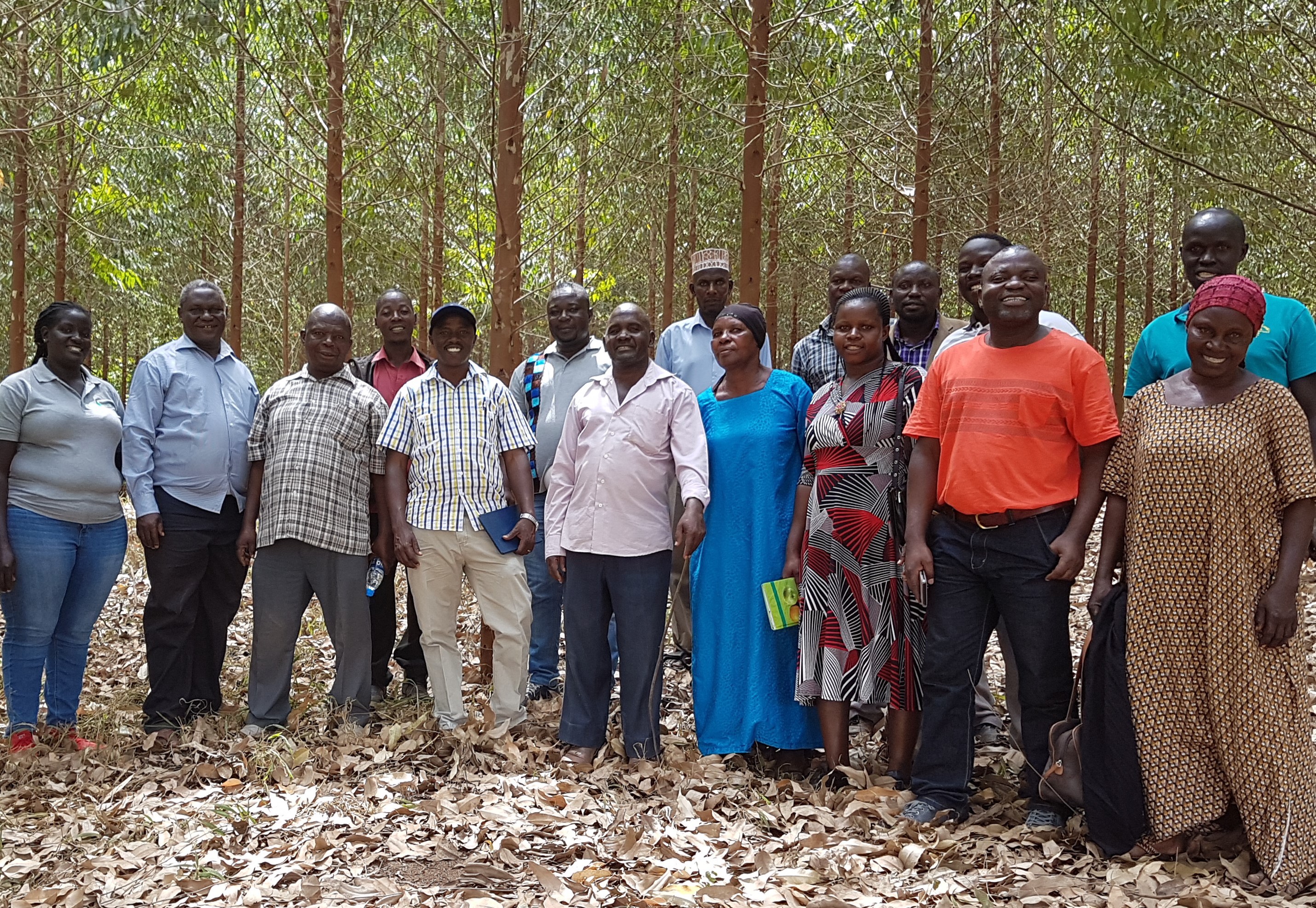 Carbon cash to climb the mountain