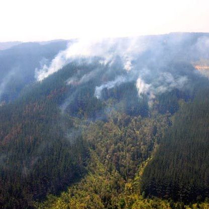 Forest Fires Landscape Restoration