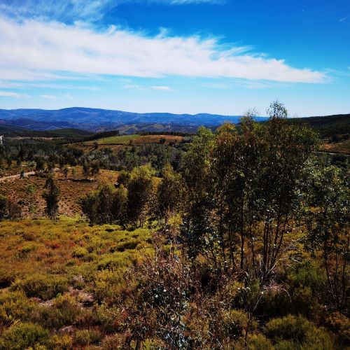 Pinhal Interior Landscape Reordering and Management Plan
