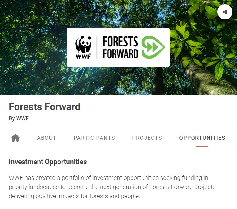 Forests Forward Investments Opportunity goes live 